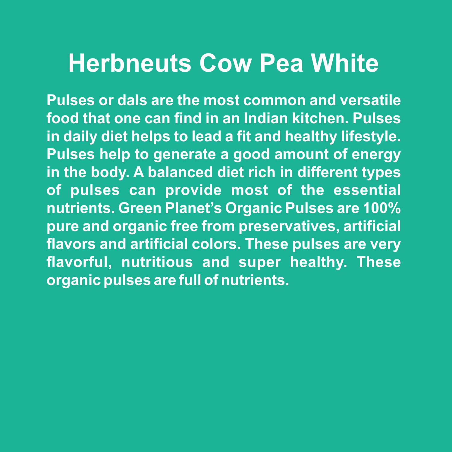 Cow Pea White 